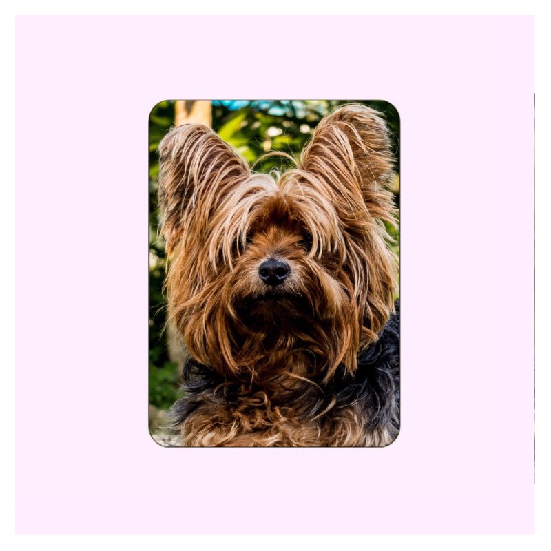 MÉDAILLON PHOTO PORCELAINE RECTANGLE EN COULEUR PLEINE FACE ANIMAUX MÉDAILLON PHOTO PORCELAINE RECTANGLE EN COULEUR PLEINE FACE ANIMAUX