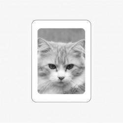 MÉDAILLON PHOTO PORCELAINE RECTANGLE NOIR ET BLANC BORDURE BLANCHE ANIMAUX