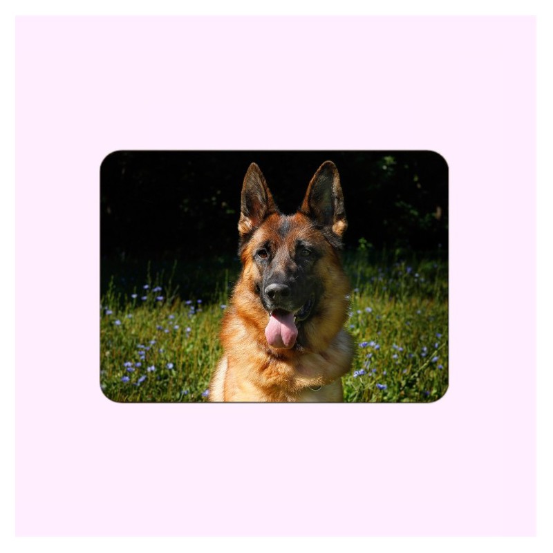 MÉDAILLON PHOTO PORCELAINE RECTANGLE HORIZONTAL COULEUR PLEINE FACE ANIMAUX MÉDAILLON PHOTO PORCELAINE RECTANGLE HORIZONTAL COULEUR PLEINE FACE ANIMAUX