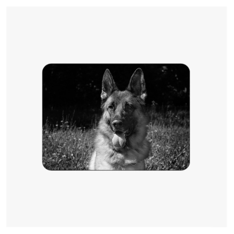 MÉDAILLON PHOTO PORCELAINE RECTANGLE HORIZONTAL NOIR ET BLANC ANIMAUX MÉDAILLON PHOTO PORCELAINE RECTANGLE HORIZONTAL NOIR ET BLANC ANIMAUX