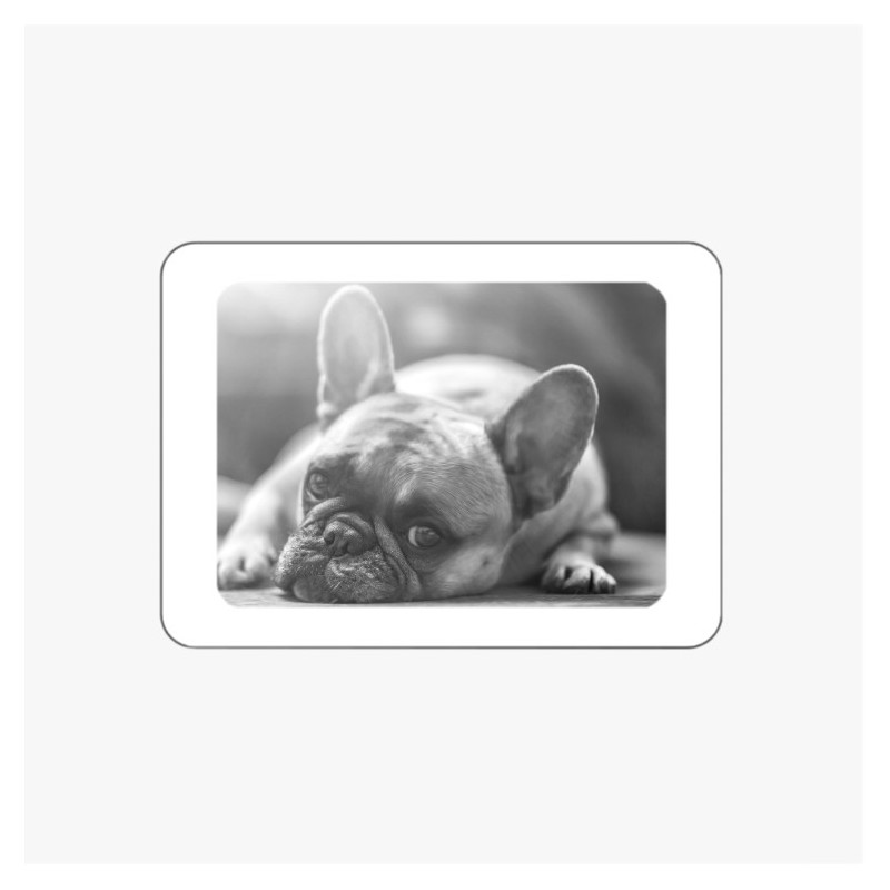 MÉDAILLON PHOTO PORCELAINE RECTANGLE HORIZONTAL BORDURE BLANCHE NOIR ET BLANC ANIMAUX