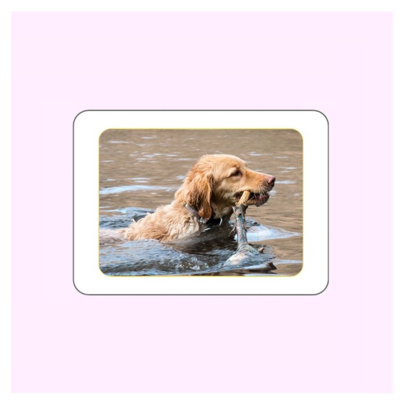 PHOTO PORCELAINE RECTANGLE HORIZONTAL COULEUR FILET OR ANIMAUX PHOTO PORCELAINE RECTANGLE HORIZONTAL COULEUR FILET OR ANIMAUX