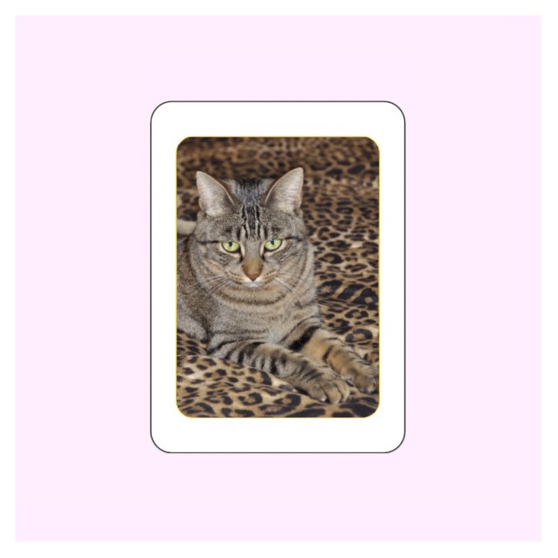 MÉDAILLON PHOTO PORCELAINE RECTANGLE EN COULEUR FILET OR ANIMAUX MÉDAILLON PHOTO PORCELAINE RECTANGLE EN COULEUR FILET OR ANIMAUX