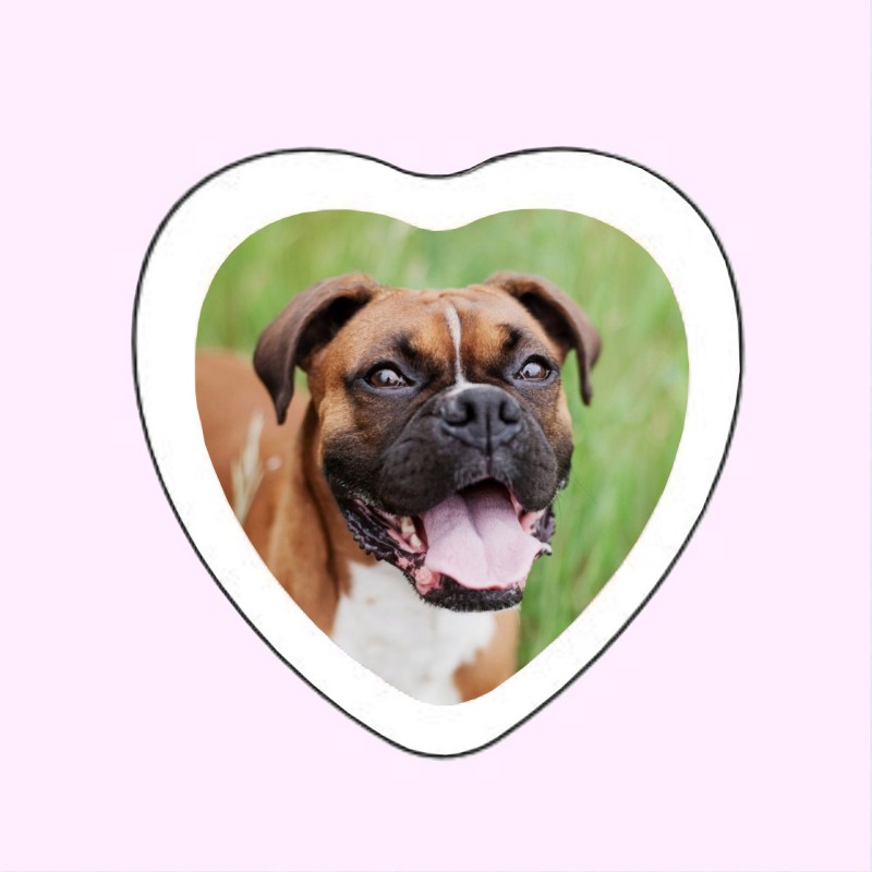 MÉDAILLON PHOTO PORCELAINE COEUR COULEUR BORDURE BLANCHE ANIMAUX MÉDAILLON PHOTO PORCELAINE COEUR COULEUR BORDURE BLANCHE ANIMAUX