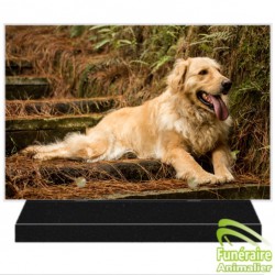 PLAQUE FUNÉRAIRE ALTUGLAS RECTANGULAIRE GOLDEN RETRIEVER 105001