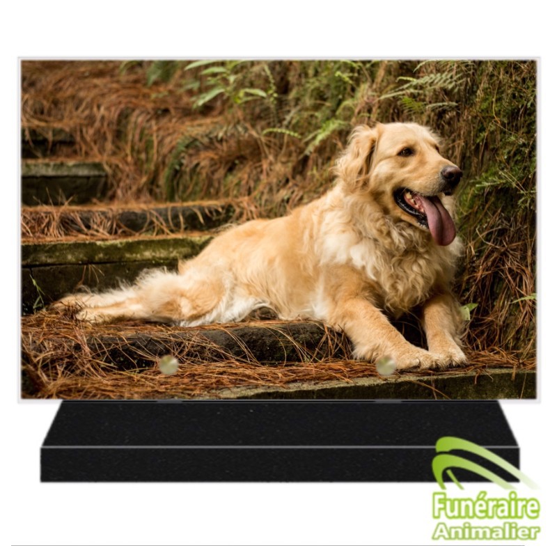 PLAQUE FUNÉRAIRE ALTUGLAS RECTANGULAIRE GOLDEN RETRIEVER 105001