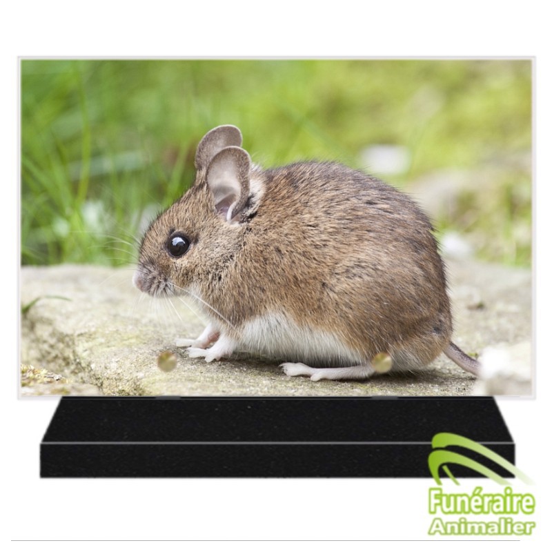 PLAQUE FUNÉRAIRE ALTUGLAS RECTANGULAIRE SOURIS 108003 PLAQUE FUNÉRAIRE ALTUGLAS RECTANGULAIRE SOURIS 108003