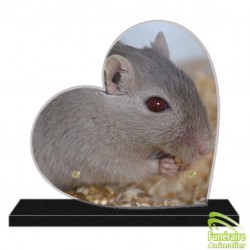 PLAQUE FUNÉRAIRE ALTUGLAS COEUR GERBIL 108001