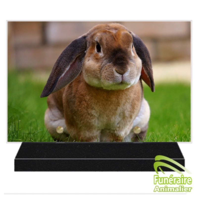 PLAQUE FUNÉRAIRE ALTUGLAS RECTANGULAIRE LAPIN 109001 PLAQUE FUNÉRAIRE ALTUGLAS RECTANGULAIRE LAPIN 109001