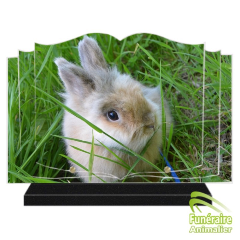 PLAQUE FUNÉRAIRE ALTUGLAS LIVRE OUVERT LAPIN 109003 PLAQUE FUNÉRAIRE ALTUGLAS LIVRE OUVERT LAPIN 109003