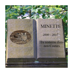 Modèle monument cimetière virtuel pour chats et chiens. Funéraire animalier