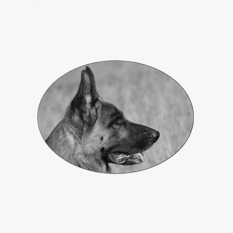 MÉDAILLON PHOTO PORCELAINE OVALE HORIZONTAL N ET B PLEINE FACE POUR ANIMAUX MÉDAILLON PHOTO PORCELAINE OVALE HORIZONTAL N ET B PLEINE FACE POUR ANIMAUX