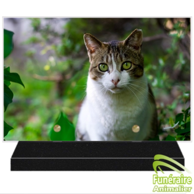 PLAQUES FUNERAIRES MODERNES POUR CHATS PERSONNALISABLES