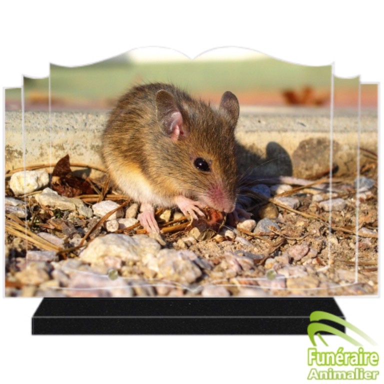 PLAQUE FUNERAIRE POUR SOURIS DE COMPAGNIE