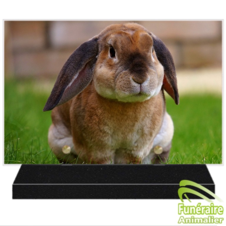 PLAQUE FUNERAIRE POUR LAPIN DE COMPAGNIE