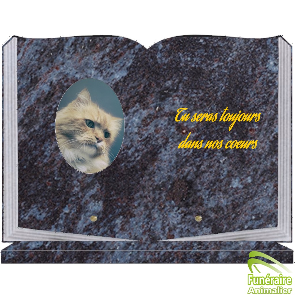 PLAQUE FUNÉRAIRE GRANIT personnalisable POUR CHIEN, CHATS