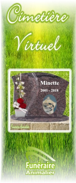 CIMETIERE VIRTUEL POUR ANIMAUX