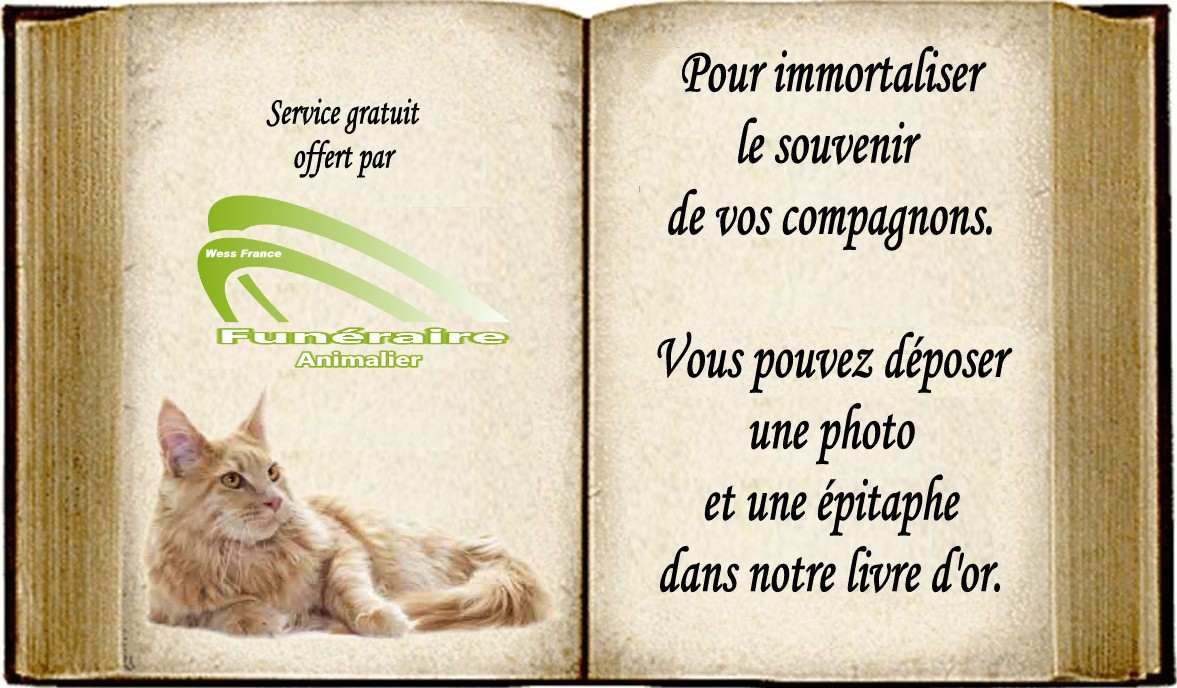 LIVRE D'OR CIMETIÈRE VIRTUEL POUR CHATS