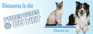Notre partenaire  Les p'tites bêtes du net