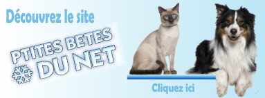 Urne pour chats - Funéraire animalier